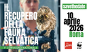 Convegno nazionale sul recupero della fauna selvatica