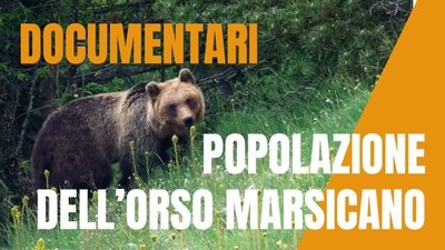 Documentario "Stima di popolazione dell'orso bruno marsicano"