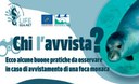 Foca monaca: chi l'avvista? Foca monaca: chi l'avvista?