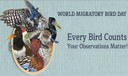 Giornata mondiale degli uccelli migratori 2026