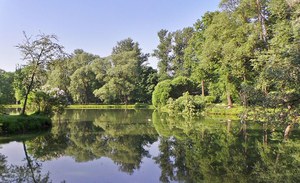 I Comuni italiani puntano al verde