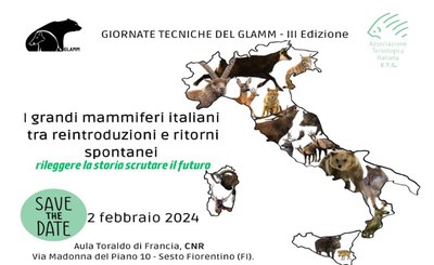 I grandi mammiferi italiani tra reintroduzioni e ritorni spontanei: rileggere la storia, scrutare il futuro