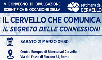 Il cervello che comunica. Il segreto delle connessioni