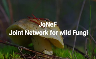 Il JoNeF Report 2025 alla General Assembly di IMPEL
