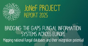 Il JoNeF Report 2025 alla General Assembly di IMPEL