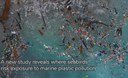 Il Mar Mediterraneo è una delle aree del mondo in cui gli uccelli marini rischiano maggiormente di ingerire plastica