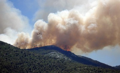 Incendi boschivi, il fuoco lascia il segno sugli ecosistemi forestali