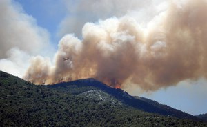 Incendi boschivi, il fuoco lascia il segno sugli ecosistemi forestali