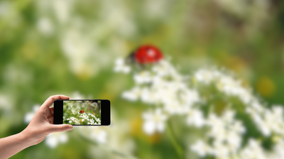 ISPRA e il Network Nazionale della Biodiversità partecipano alla City Nature Challenge di Torino