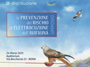 La prevenzione del rischio di elettrocuzione dell’avifauna