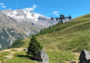 Prima serie di documentari ISPRA sul monitoraggio della biodiversità