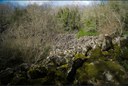 La Riserva Naturale Selva del Lamone: un ecosistema plasmato dal vulcanismo