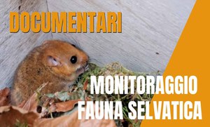 Mammiferi 4.0: dietro le quinte della ricerca con il quarto episodio di DigitAP