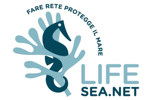 Manuale per l’applicazione delle procedure di V.Inc.A nei siti marini