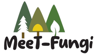 MEET-FUNGI: al via il progetto e le iniziative 2026 dedicate alla biodiversità fungina