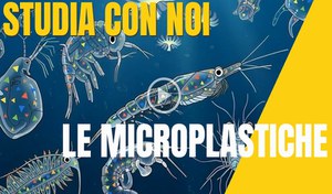 Microplastiche: quanto ne sappiamo?