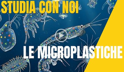 Microplastiche: quanto ne sappiamo?