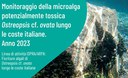 Monitoraggio della microalga potenzialmente tossica Ostreopsis cf. ovata lungo le coste italiane