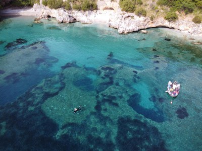 Nell'Area Marina Protetta di Baia degli Infreschi sono in corso le attività di monitoraggio dell’impianto di ricucitura di matte di Posidonia oceanica