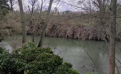 Il Network Nazionale della Biodiversità e il ruolo della Citizen science per il monitoraggio della vegetazione riparia – Il progetto RiVe