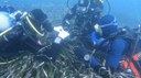 Posidonia oceanica: 15 raccomandazioni per interventi di ripristino più efficaci Posidonia oceanica: 15 raccomandazioni per interventi di ripristino più efficaci