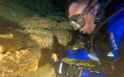 Progetto DigitAP:  il monitoraggio della foca monaca e del DNA ambientale nelle Aree Marine Protette