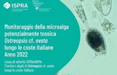 Pubblicato il Rapporto "Monitoraggio della microalga potenzialmente tossica Ostreopsis cf. ovata lungo le coste italiane: Anno 2022"