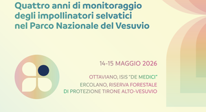 Quattro anni di monitoraggio degli impollinatori selvatici nel Parco Nazionale del Vesuvio