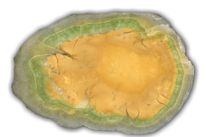 CCS e Carbon Mineral Storage: ricerca, industria e politiche per la neutralità climatica
