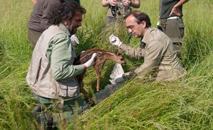 Riparte il 15 marzo la stagione primaverile delle aperture della Tenuta Presidenziale di Castelporziano