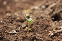 Soil Monitoring in the Anthropocene