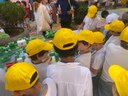 Una giornata in città: alla scoperta del nostro ambiente urbano Una giornata in città: alla scoperta del nostro ambiente urbano