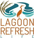 Life Lagoon Refresh