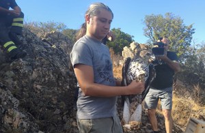 Arrivati nel Parco di Tepilora 7 esemplari provenienti dalla Spagna