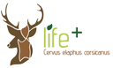 Life + One deer, two Islands