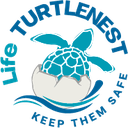 logo Life Turtle Nest_png.png