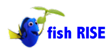 fish RISE