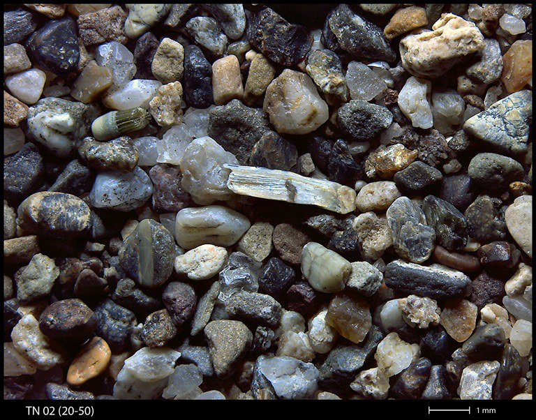 TN 02 (20-50)_foto microscopio.jpg