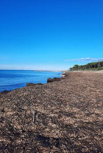 Avviata la campagna per l'esecuzione di rilievi aero-fotogrammetrici nel sito pilota di Cecina