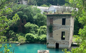 GNM 2021: intervista alla coordinatrice della Rete ReMi Agata Patanè nello speciale di Icaro tv