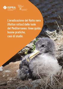 L’eradicazione del Ratto nero (Rattus rattus) dalle isole del Mediterraneo: linee guida, buone pratiche, casi di studio