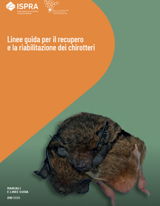Linee guida per il recupero e la riabilitazione dei chirotteri