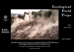 Fluid flow paths in fossil and active geothermal fields: the Plio-Pleistocene Boccheggiano-Montieri and the Larderello areas
