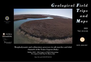 Morphodynamic and sedimentary processes in salt-marshes and tidal channels of the Venice Lagoon (Italy)