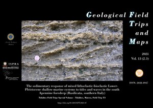 The sedimentary response of mixed lithoclastic-bioclastic Lower- Pleistocene shallow-marine systems to tides and waves in the south Apennine foredeep (Basilicata, southern Italy)