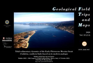 Tidal sedimentary dynamics of the Early Pleistocene Messina Strait (Calabria, southern Italy) based on its modern analogue