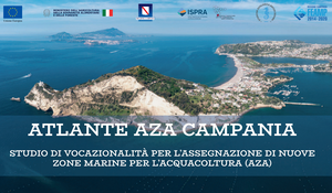 Atlante AZA Campania. Studio di vocazionalità per l'assegnazione di nuove zone marine per l'acquacoltura (AZA)