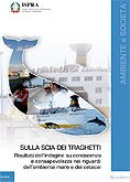 Sulla scia dei traghetti. Risultati dell'indagine su conoscenza e consapevolezza nei riguardi dell'ambiente mare e dei cetacei
