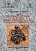 Linee guida per il monitoraggio dei Chirotteri: indicazioni metodologiche per lo studio e la conservazione dei pipistrelli in Italia