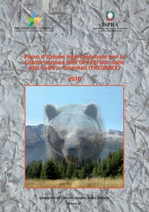 Piano d’azione interregionale per la conservazione dell’orso bruno nelle Alpi centro-orientali (PACOBACE)